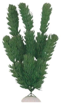 Искусственное растение "Роголистник" 10см (AP-007-10)