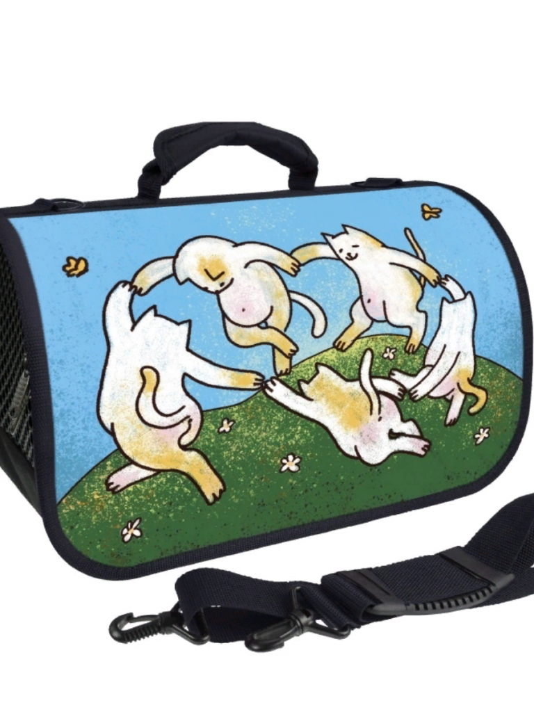 Сумка переноска Кофр жесткий Вернисаж ZD-3-77-322