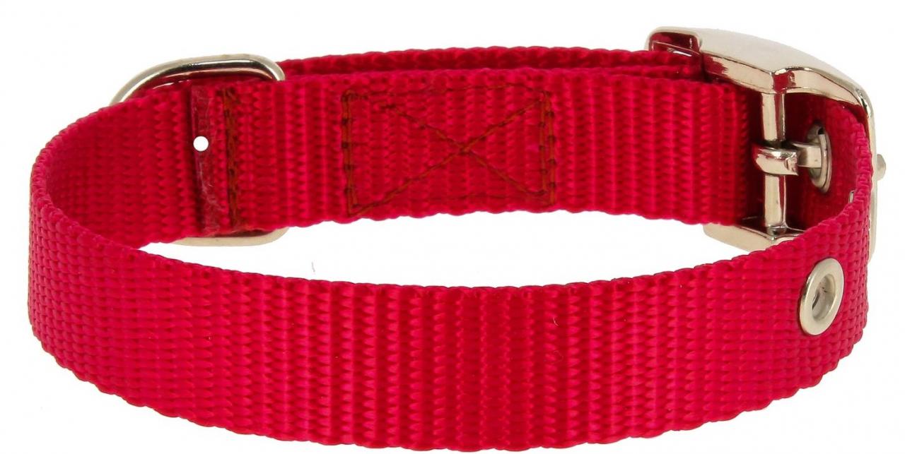 Ошейник нейлон 25мм*55см красный 