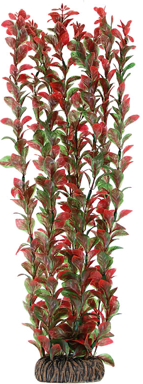 Растение 4690 "Людвигия" красная, 400мм, (пакет)