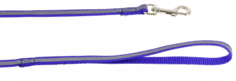 Поводок нейлон светоотр. 25мм*120см синий