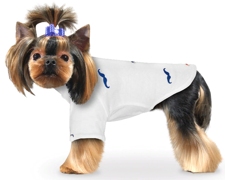 Футболка "усы"