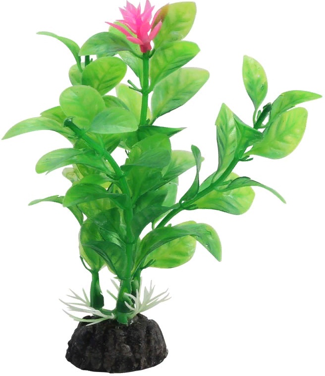 Растение "Незея цветущая", 100мм