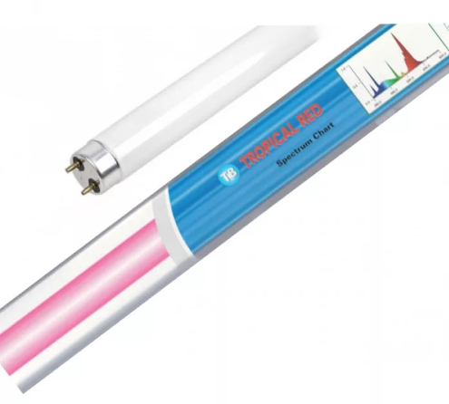 Лампа спектральная люминесцентная тропикал красная HL-T8LT-25TR
