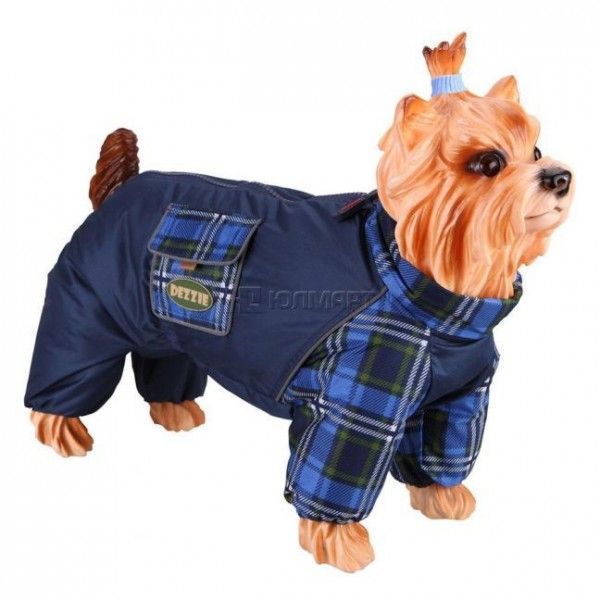 Комбинезон  ДЕЗЗИ ЧИХУА-мальчик, болонья, синтепон