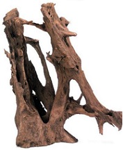 Корень мангрового дерева(водная часть)15-30 см