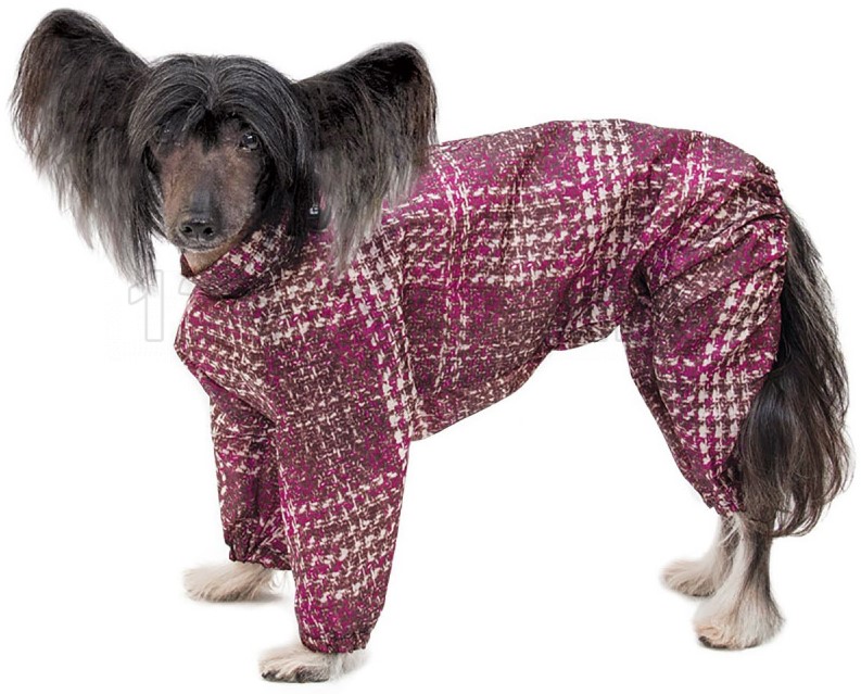 Комбинезон зимний  "Китайская хохлатая", 36см