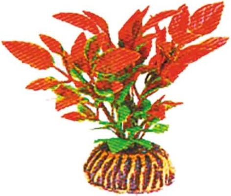Растение 0877 "Людвигия" красно-зеленая, 80мм, (пакет), Laguna