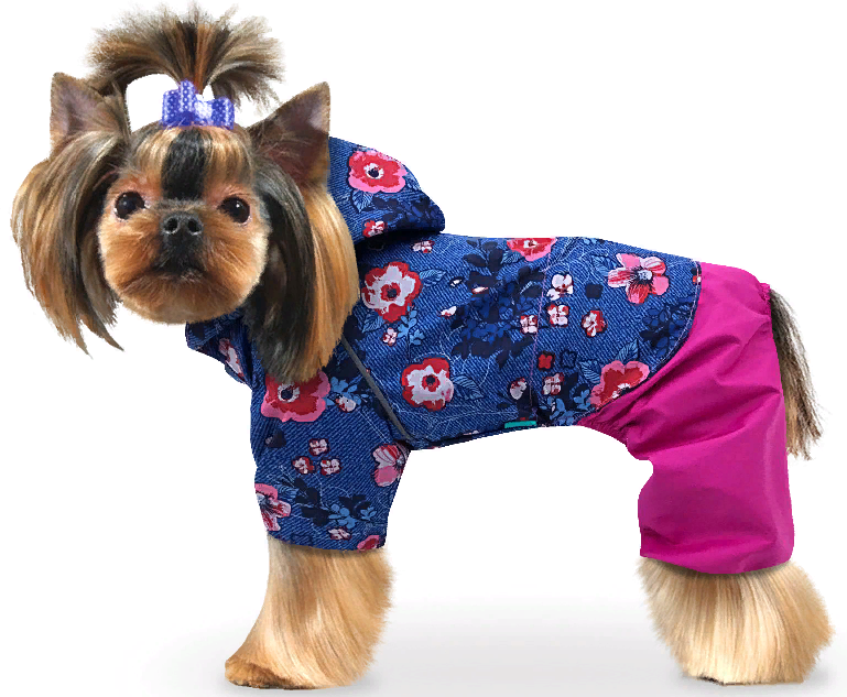 Дождевик Мопс цветы