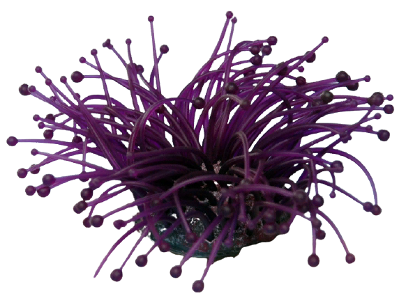 Декор из силикона "Коралл фиолетовый" (мягкий) (7.5*7.5*10) (SH 135 PU)