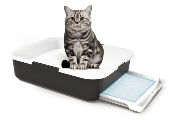 Лоток для кошачьего туалета  54х45х14 см