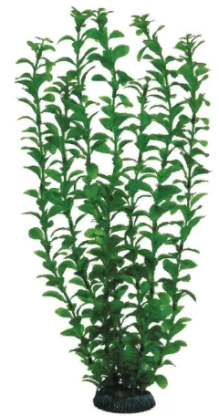 Растение "Людвигия" зеленая, 400мм