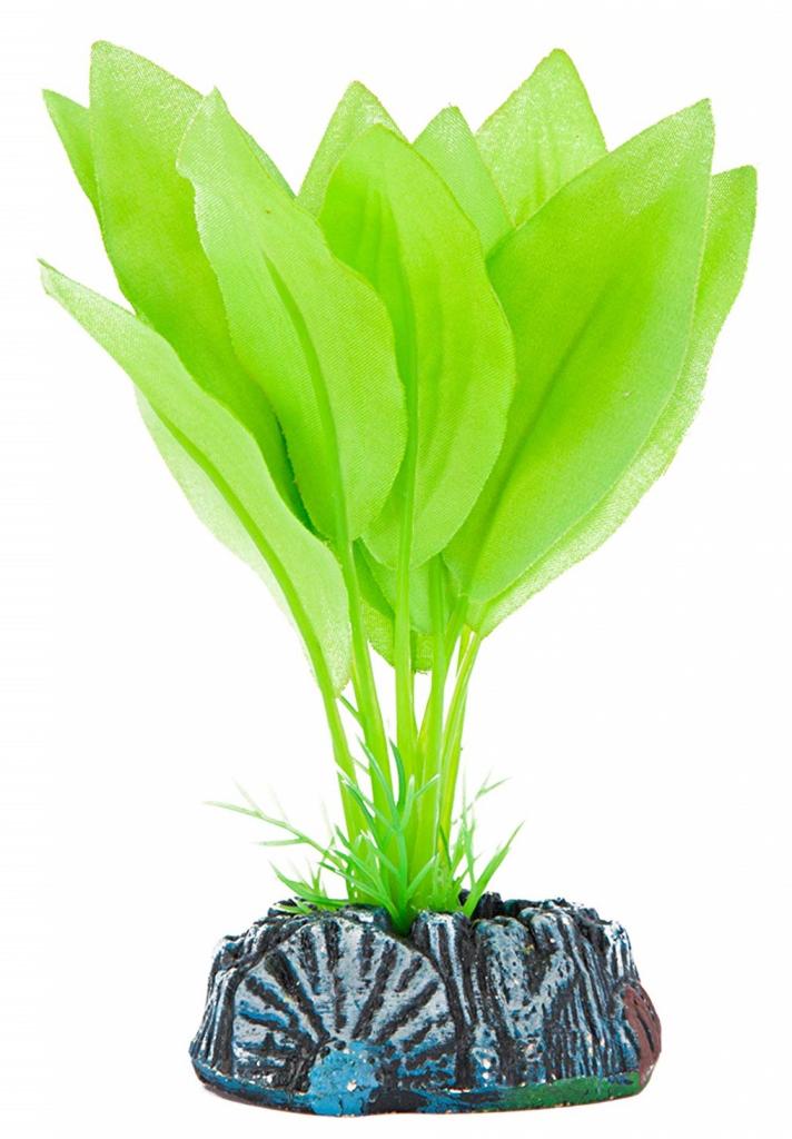 Растение AMAZON SWORD шелковое зеленое 12см