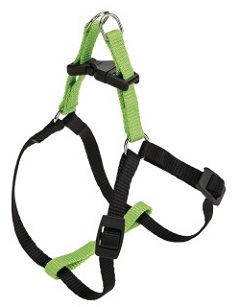 Шлейка EASY COLOURS P EX.SMALL зеленая