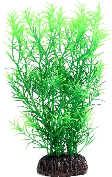 Растение 1991 "Гетерантера" зеленая, 200мм, (пакет)