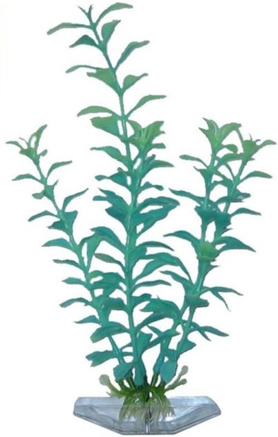 Растение BLOOMING LUDWIGIA 22см сине-зеленое светя