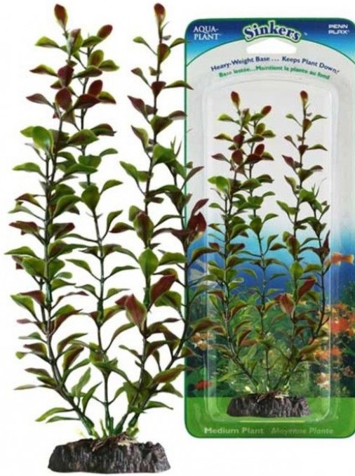 Растение RED BLOOMING LUDWIGIA с грузом 45см
