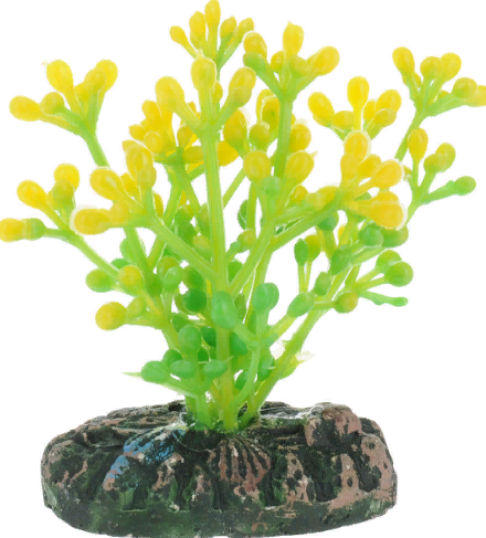 Растение CAULERPA 8-10см с грузом желто-зеленое